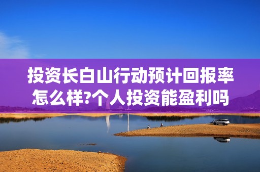 投资长白山行动预计回报率怎么样?个人投资能盈利吗(电影长白山行动投资)