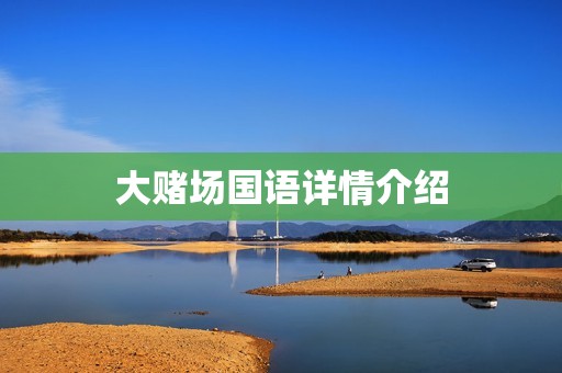 大赌场国语详情介绍 大赌场国语详情介绍