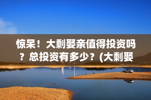 惊呆！大剩娶亲值得投资吗？总投资有多少？(大剩娶亲有哪个公司出品)