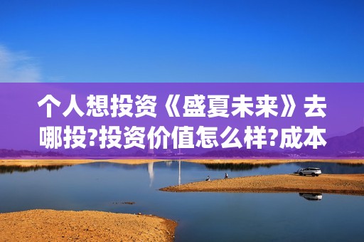 个人想投资《盛夏未来》去哪投?投资价值怎么样?成本大吗?(个人投资赚钱)