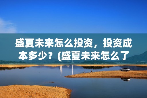 盛夏未来怎么投资，投资成本多少？(盛夏未来怎么了)