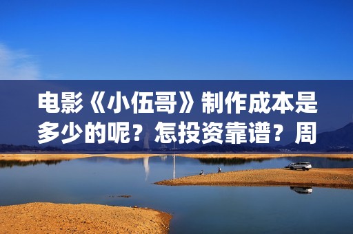 电影《小伍哥》制作成本是多少的呢？怎投资靠谱？周期是多久的呢？(小伍哥在线观看)