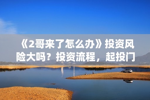 《2哥来了怎么办》投资风险大吗？投资流程，起投门槛高吗？(2哥来了怎么办上映时间)