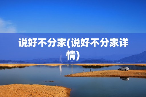 说好不分家(说好不分家详情)