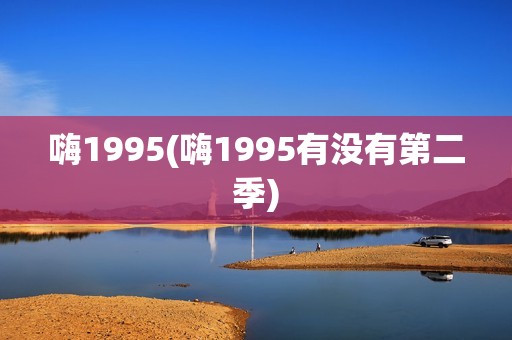 嗨1995(嗨1995有没有第二季)