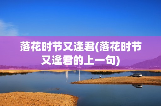 落花时节又逢君(落花时节又逢君的上一句)