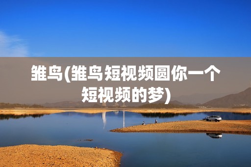 雏鸟(雏鸟短视频圆你一个短视频的梦)