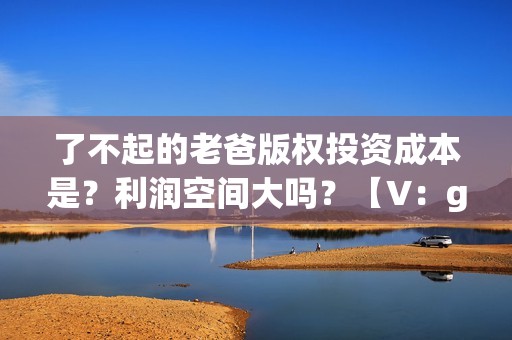 了不起的老爸版权投资成本是？利润空间大吗？【V：grey121415】(了不起的老爸ts版)