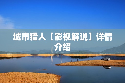 城市猎人【影视解说】详情介绍