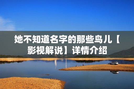 她不知道名字的那些鸟儿【影视解说】详情介绍