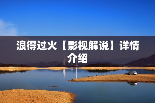 浪得过火【影视解说】详情介绍