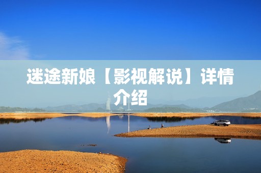 迷途新娘【影视解说】详情介绍