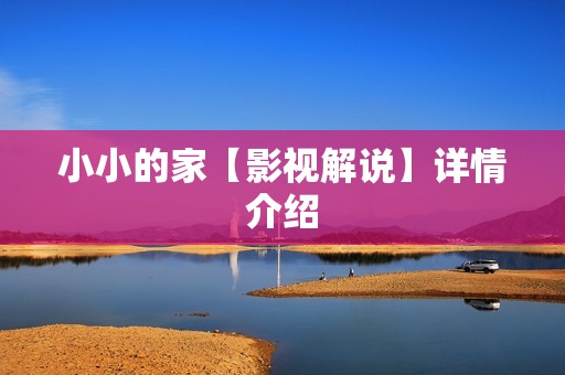 小小的家【影视解说】详情介绍