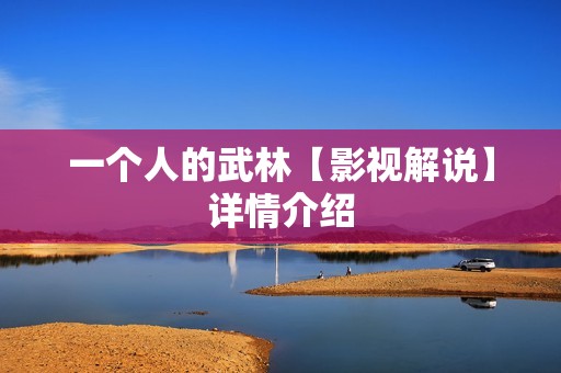 一个人的武林【影视解说】详情介绍