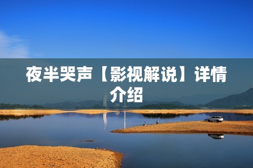 夜半哭声【影视解说】详情介绍