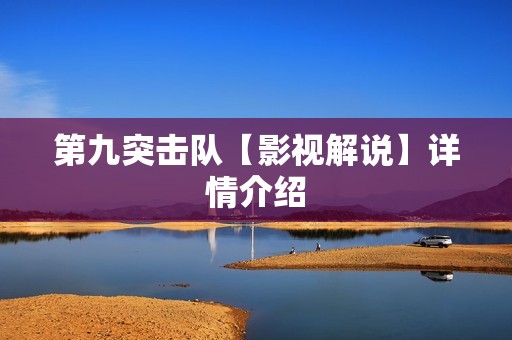 第九突击队【影视解说】详情介绍