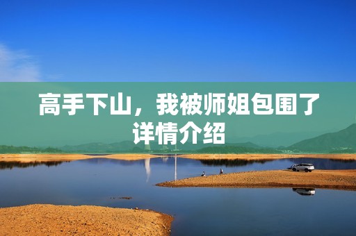 高手下山，我被师姐包围了详情介绍