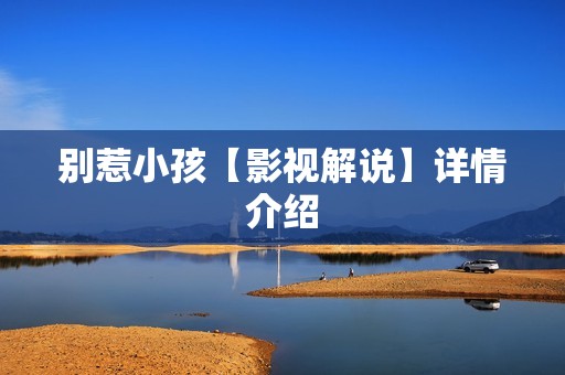 别惹小孩【影视解说】详情介绍