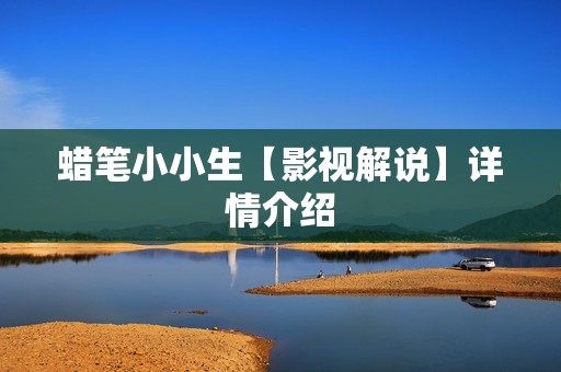 蜡笔小小生【影视解说】详情介绍