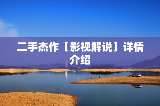 二手杰作【影视解说】详情介绍