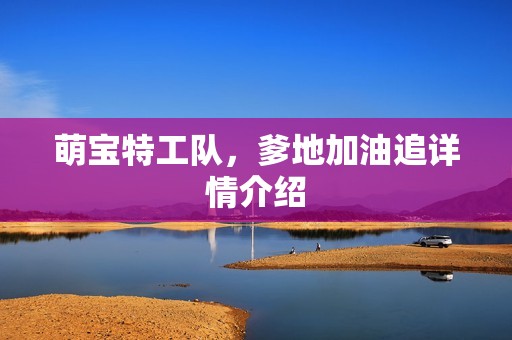 萌宝特工队，爹地加油追详情介绍