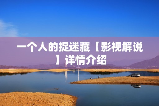 一个人的捉迷藏【影视解说】详情介绍