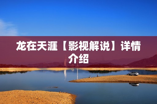 龙在天涯【影视解说】详情介绍