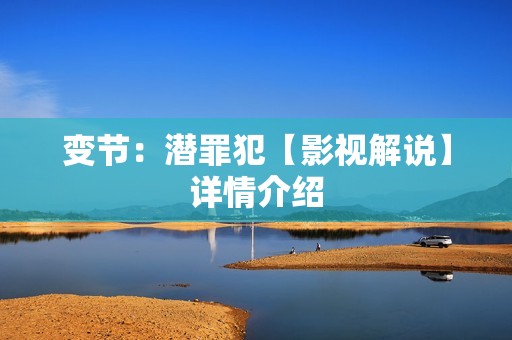 变节：潜罪犯【影视解说】详情介绍