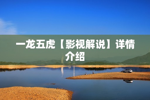 一龙五虎【影视解说】详情介绍