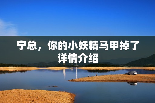 宁总，你的小妖精马甲掉了详情介绍