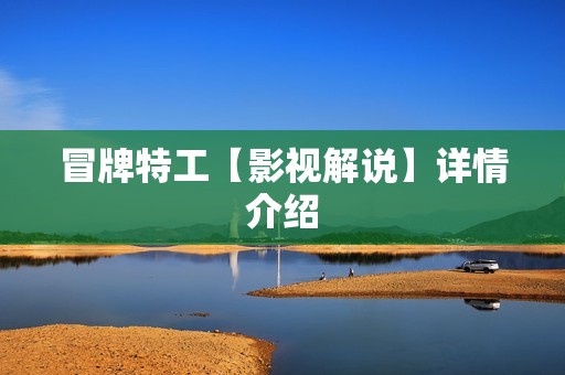 冒牌特工【影视解说】详情介绍