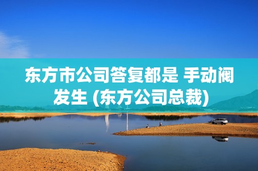 东方市公司答复都是 手动阀 发生 (东方公司总裁)