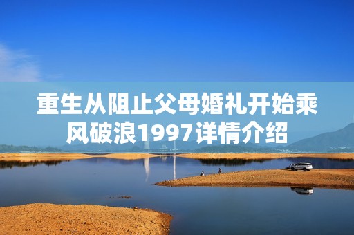 重生从阻止父母婚礼开始乘风破浪1997详情介绍