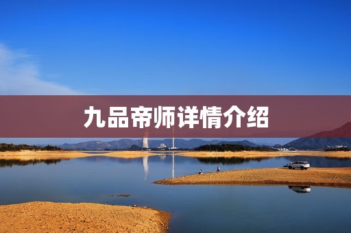 九品帝师详情介绍