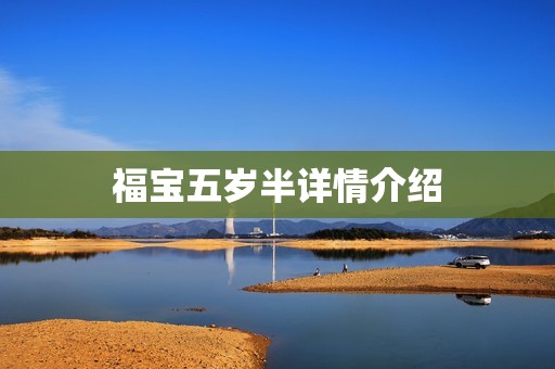 福宝五岁半详情介绍