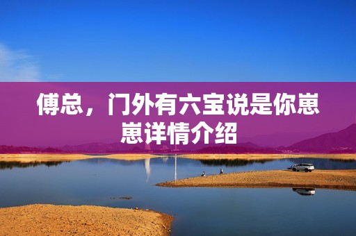 傅总，门外有六宝说是你崽崽详情介绍