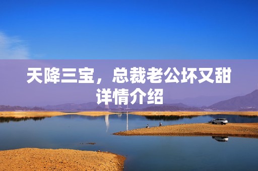 天降三宝，总裁老公坏又甜详情介绍