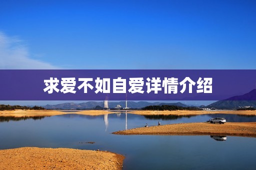 求爱不如自爱详情介绍