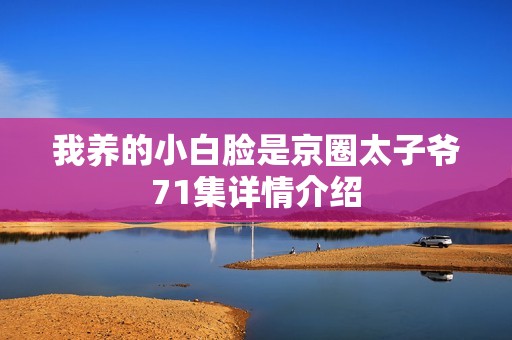 我养的小白脸是京圈太子爷71集详情介绍