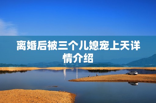 离婚后被三个儿媳宠上天详情介绍