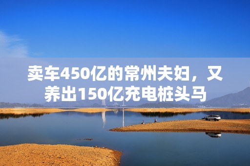 卖车450亿的常州夫妇，又养出150亿充电桩头马