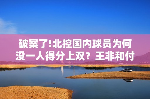 破案了!北控国内球员为何没一人得分上双？王非和付政浩道出原因
