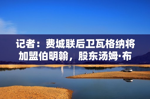 记者：费城联后卫瓦格纳将加盟伯明翰，股东汤姆·布雷迪参与交易