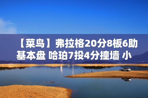 【菜鸟】弗拉格20分8板6助基本盘 哈珀7投4分撞墙 小理查德森20分