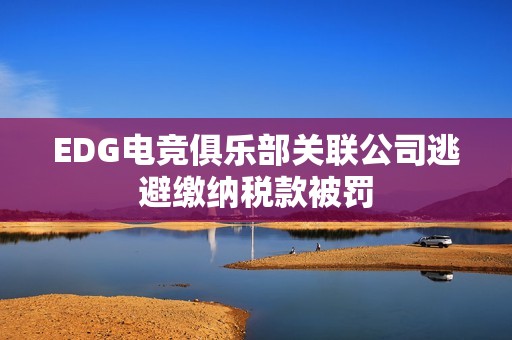 EDG电竞俱乐部关联公司逃避缴纳税款被罚