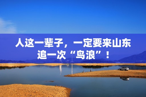 人这一辈子，一定要来山东追一次“鸟浪”！