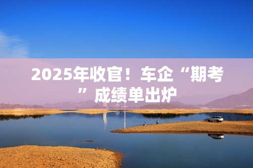 2025年收官！车企“期考”成绩单出炉