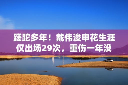 蹉跎多年！戴伟浚申花生涯仅出场29次，重伤一年没打比赛后离队