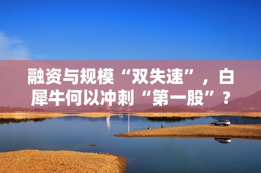 融资与规模“双失速”，白犀牛何以冲刺“第一股”？