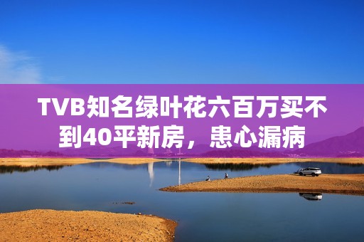TVB知名绿叶花六百万买不到40平新房，患心漏病